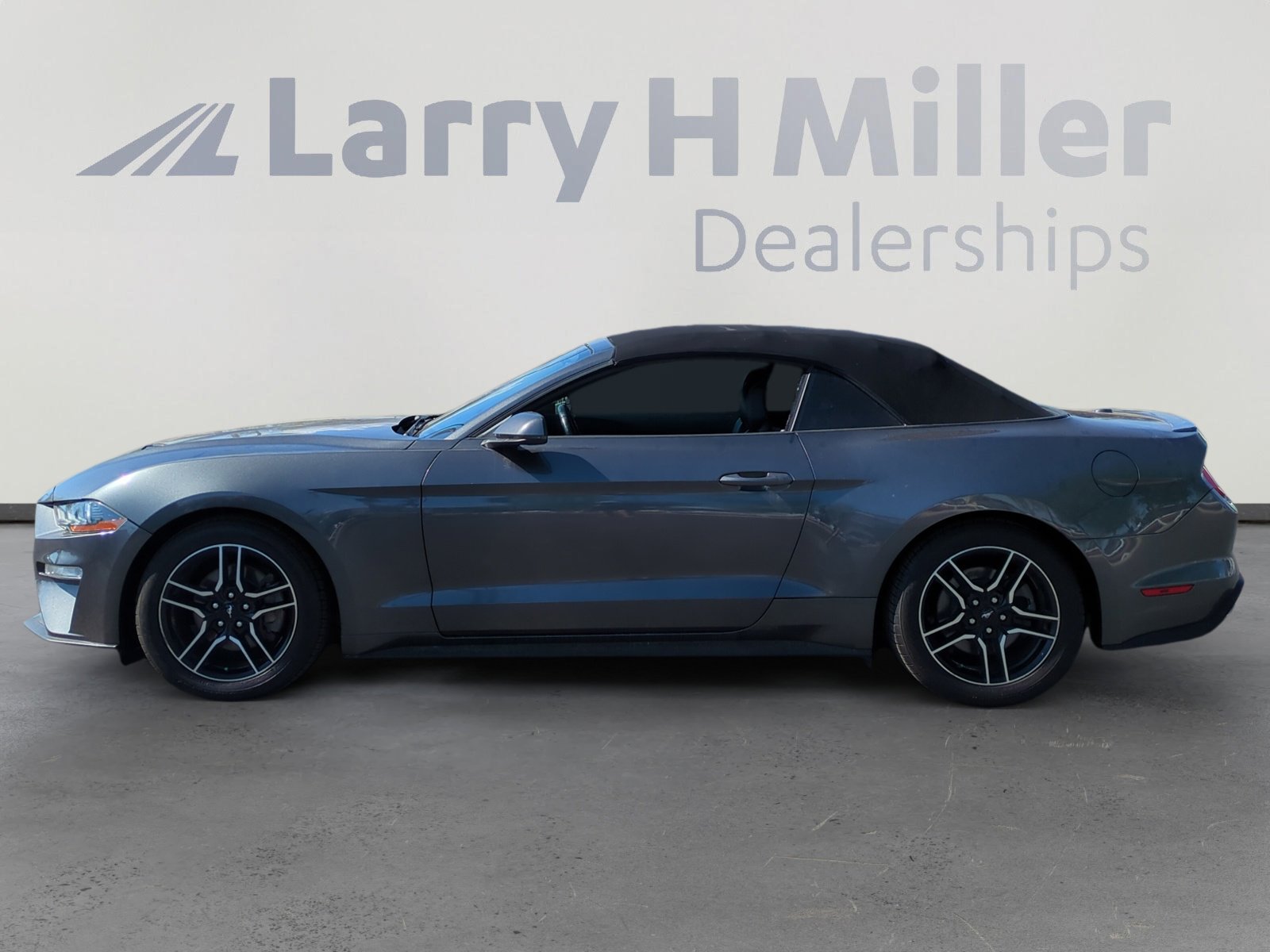 2019 Ford Mustang EcoBoost Premium photo 2