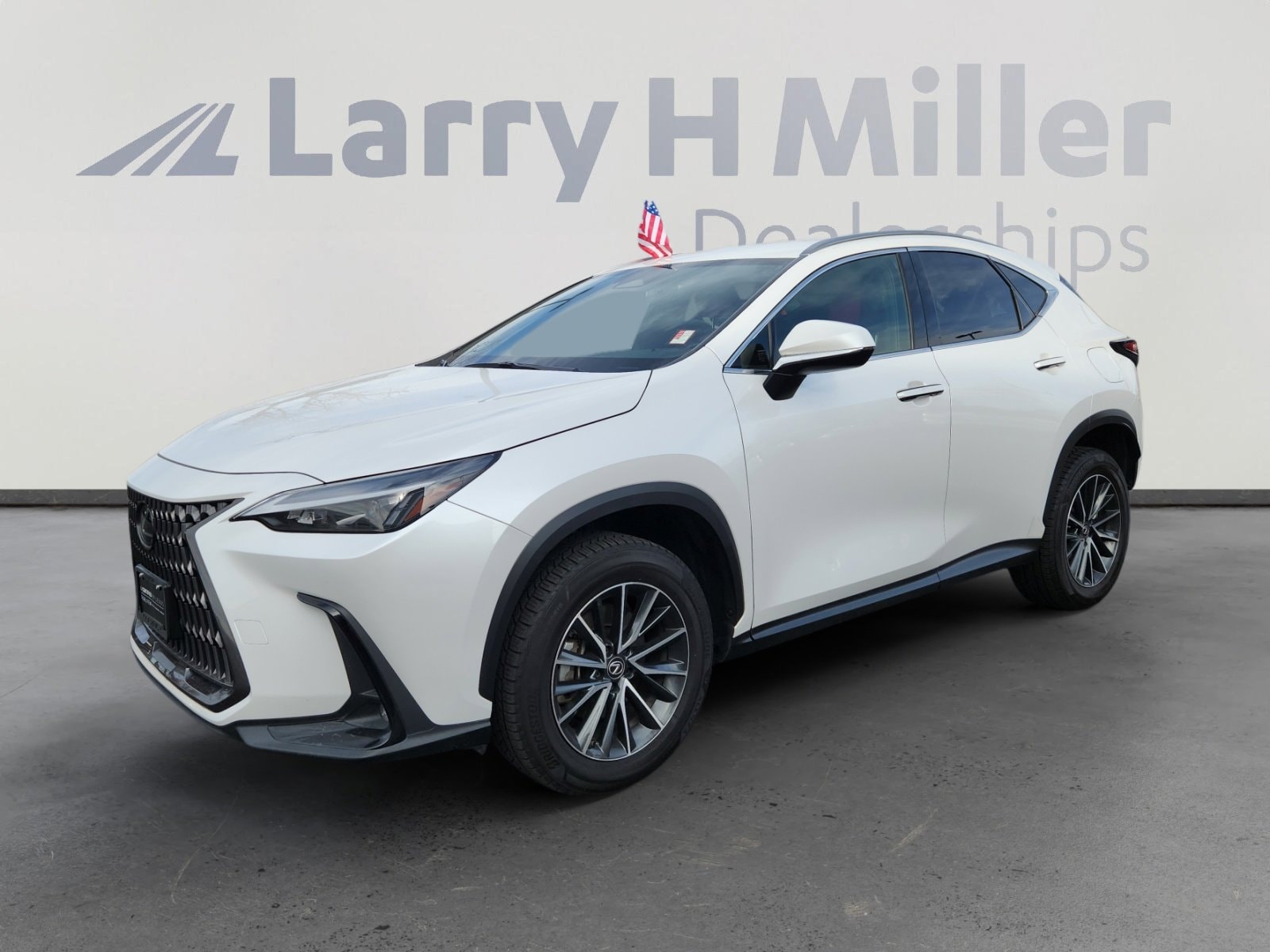 2023 Lexus NX 250's photo