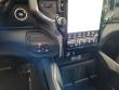 New 2025 Ram 2500 LARAMIE MEGA CAB 4X4 6'4 BOX Denver, CO New 2025 Ram 2500 LARAMIE MEGA CAB 4X4 6'4 BOX Pickup Denver, CO
