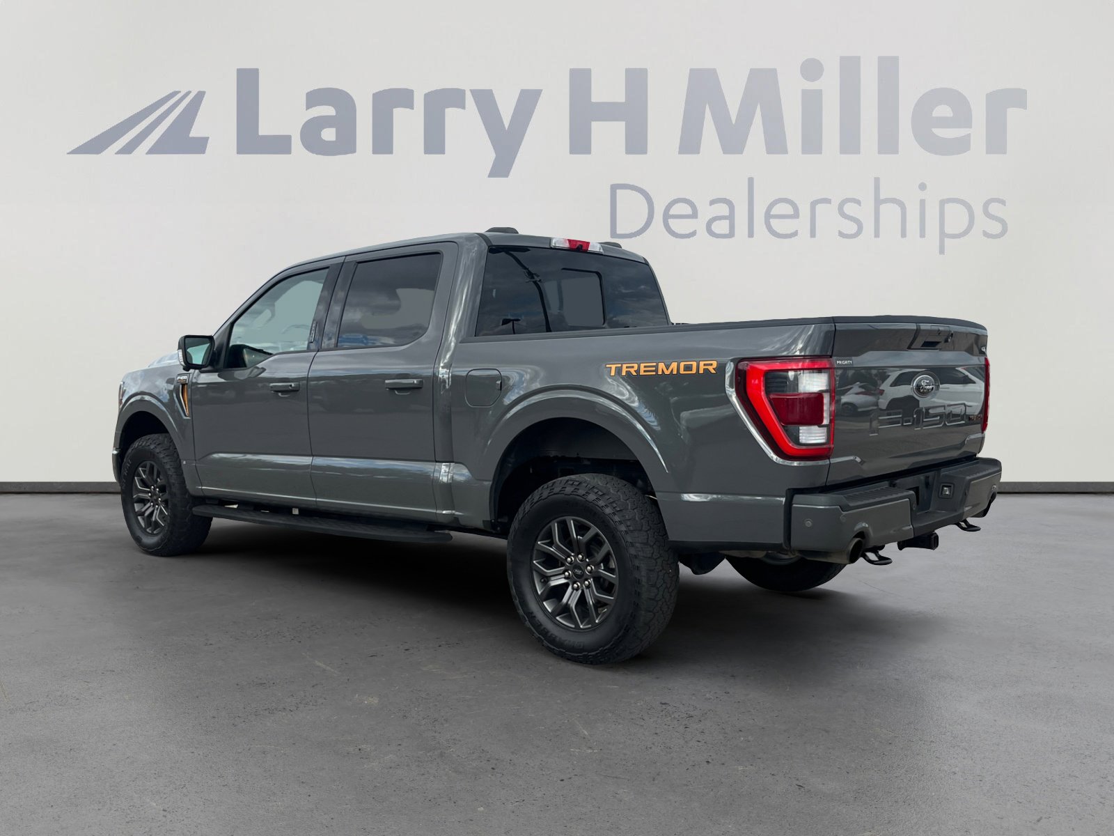 2021 Ford F-150 Tremor photo 4