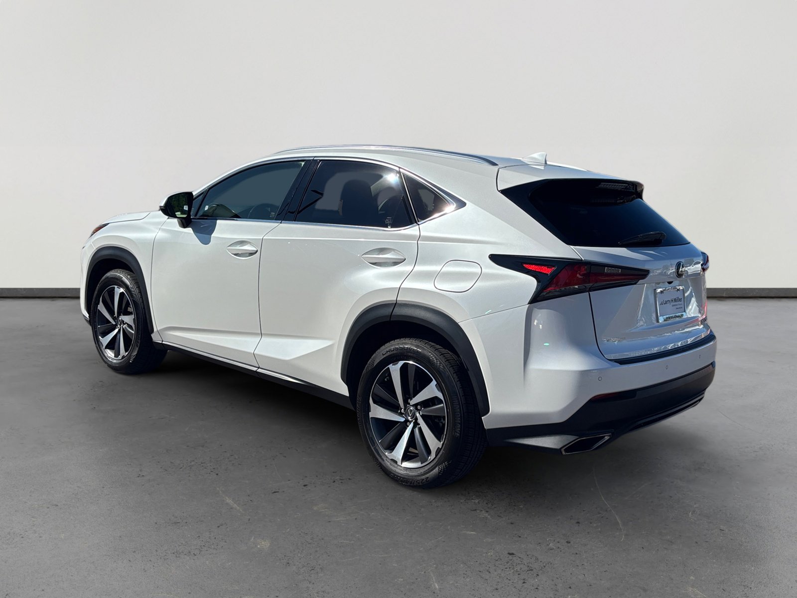2019 Lexus NX 300 Luxury photo 3