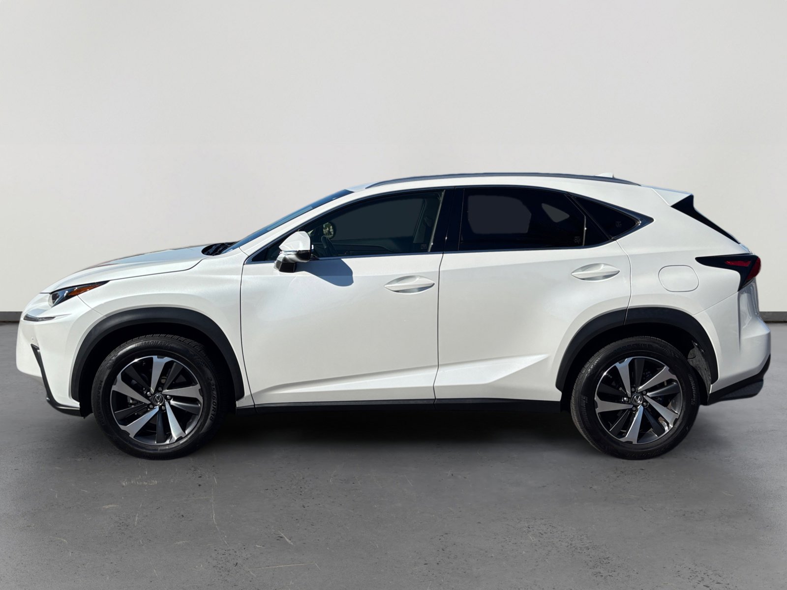 2019 Lexus NX 300 Luxury photo 2