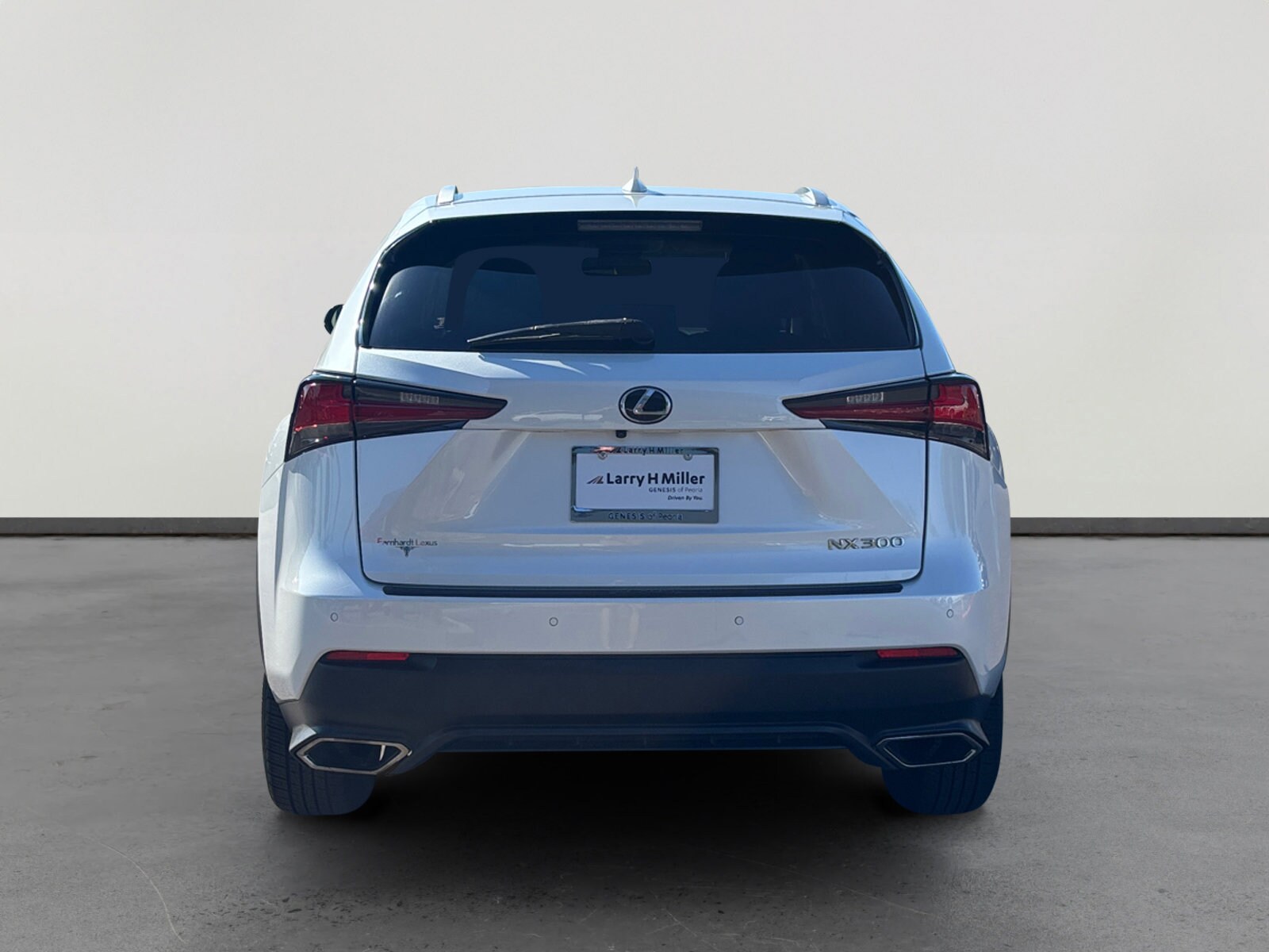 2019 Lexus NX 300 Luxury photo 4