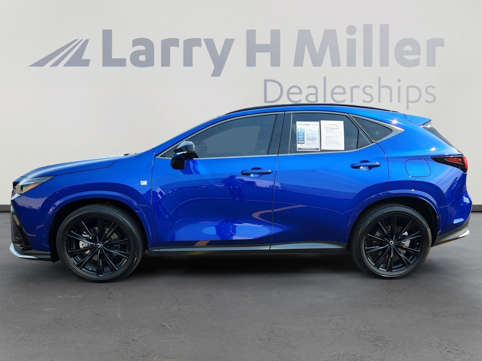 2024 Lexus NX 450h+ F SPORT Handling photo 2