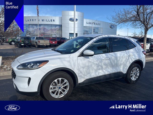 2020 Ford Escape SE's photo