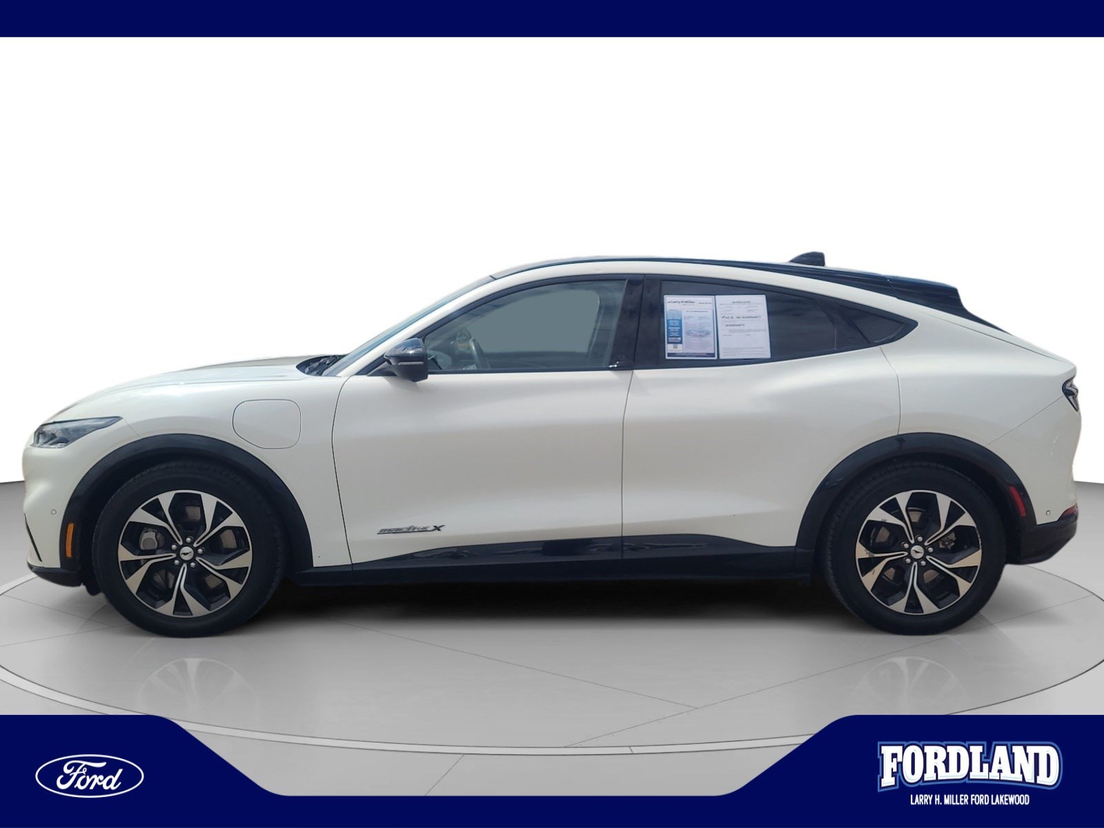 Used 2021 Ford Mustang Mach-E Premium RWD with VIN 3FMTK3R72MMA10312 for sale in Lakewood, CO