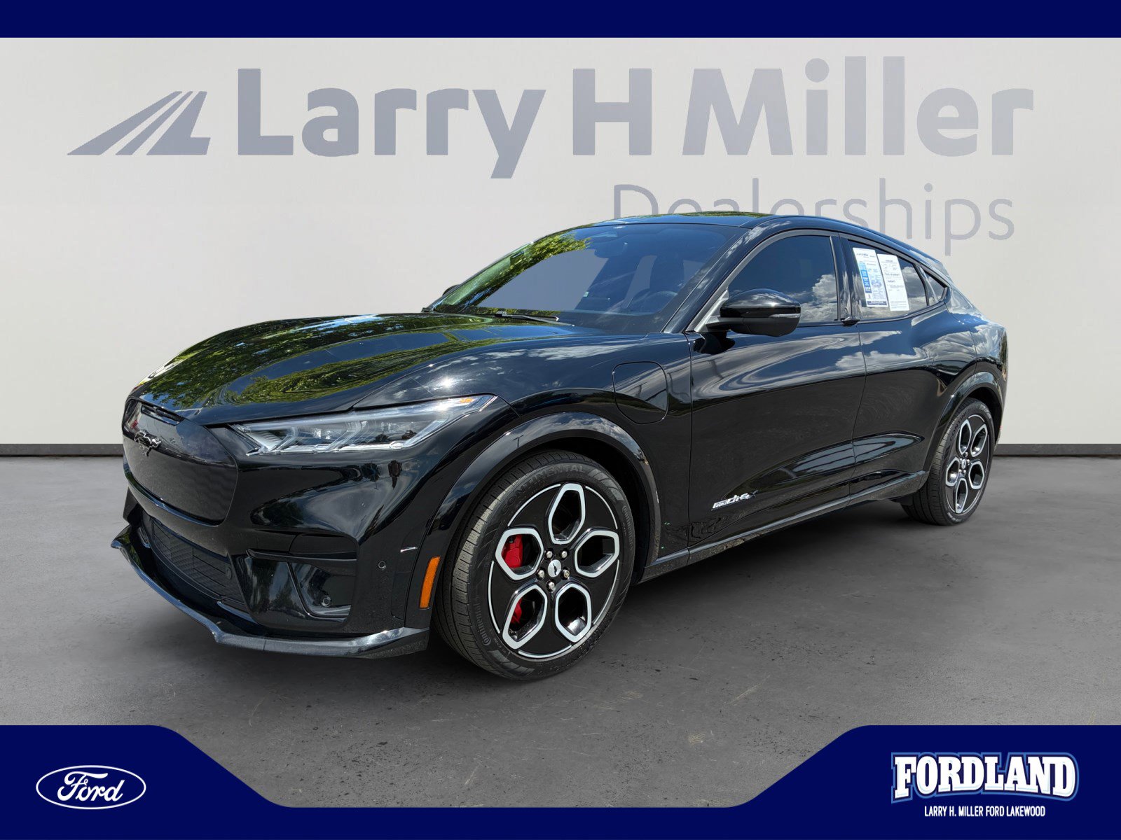 2022 Ford Mustang-Mach-e GT's photo