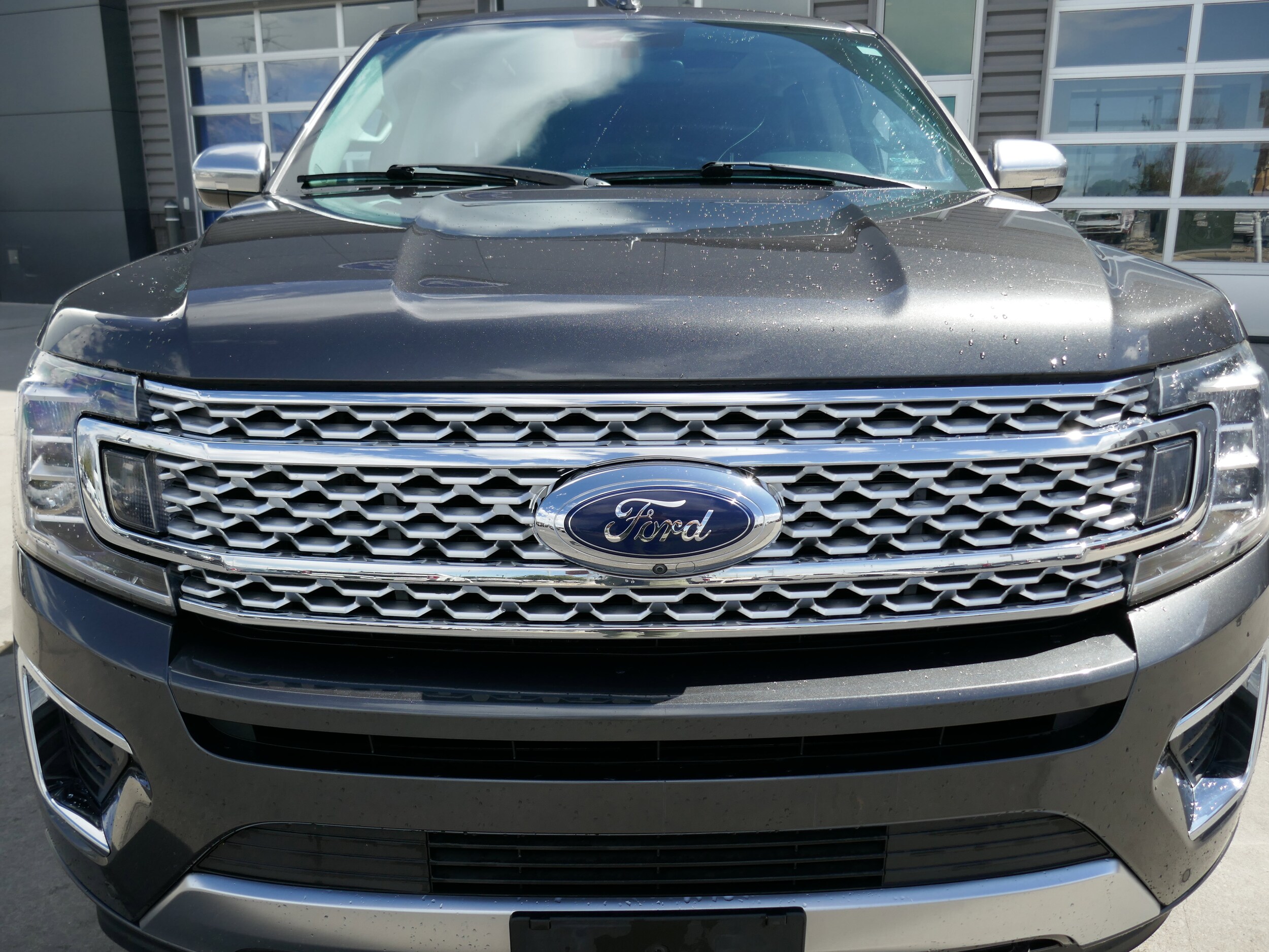 2020 Ford Expedition MAX Platinum photo 2
