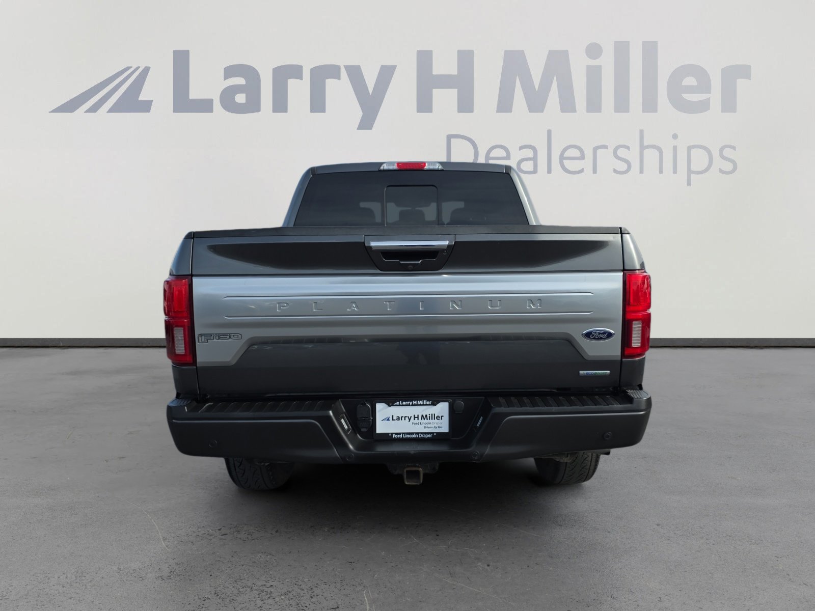 2019 Ford F-150 Platinum photo 4