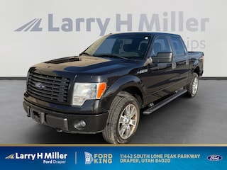 2014 Ford F-150 STX Truck SuperCrew Cab