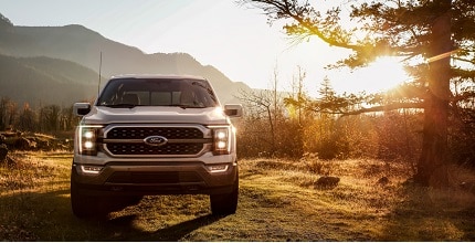 Ford F-150 exterior