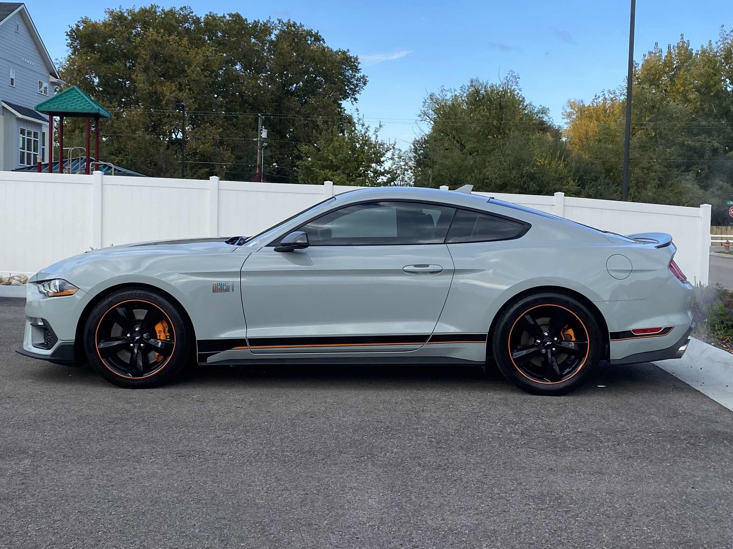 2022 Ford Mustang Mach 1 photo 3