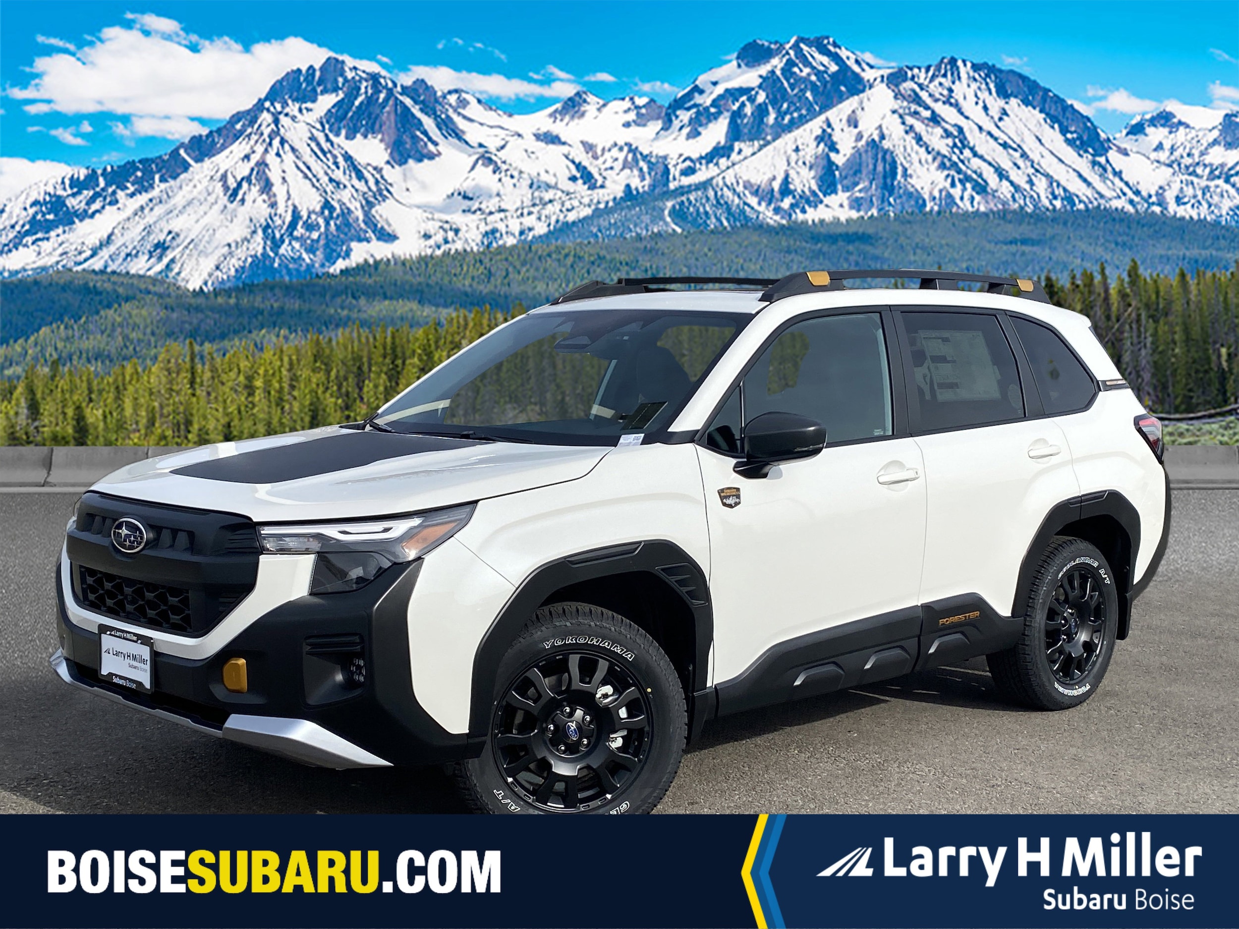 2026 Subaru Forester Wilderness's photo