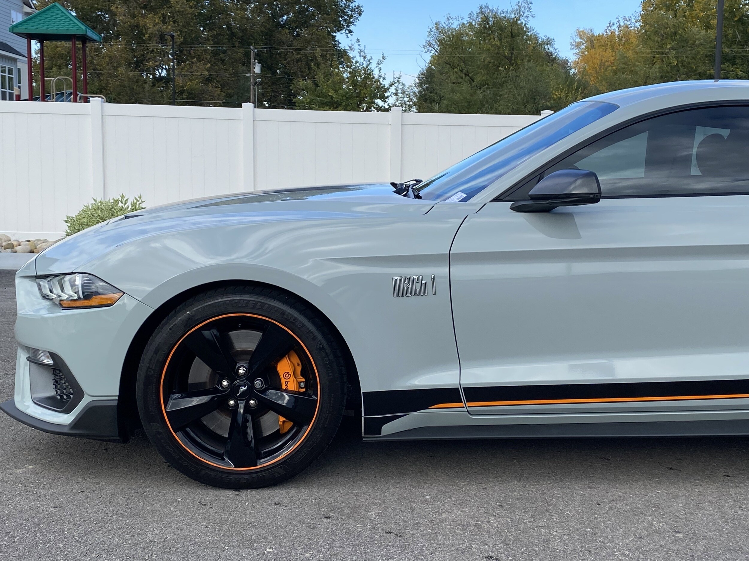 2022 Ford Mustang Mach 1 photo 2