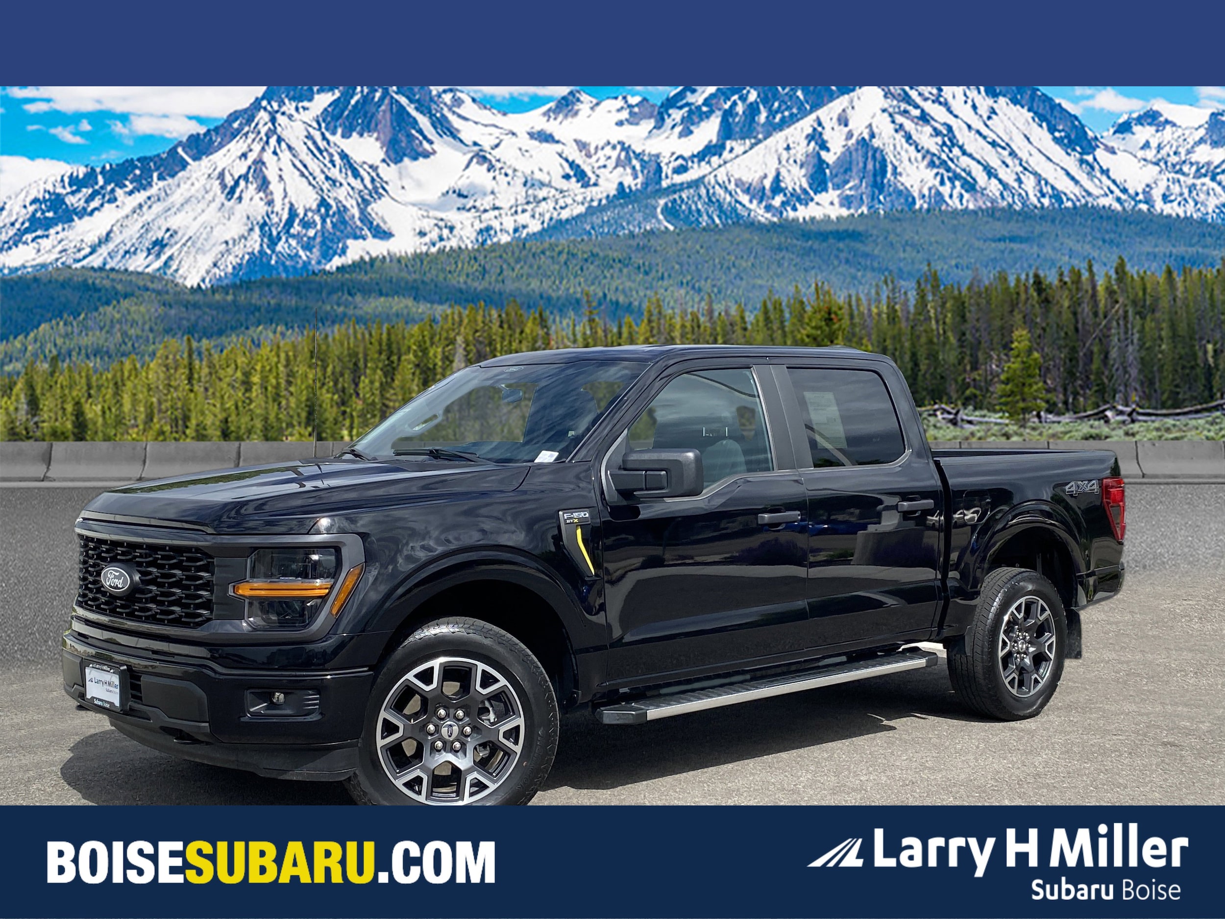 2024 Ford F-150 STX 4x4 SuperCrew 5-1/2 Box's photo