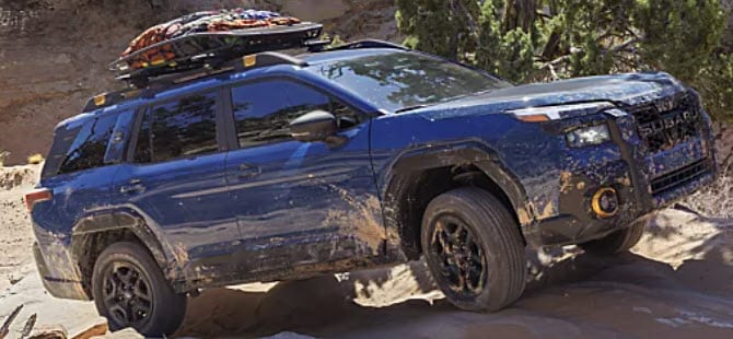 Outback%202.jpg