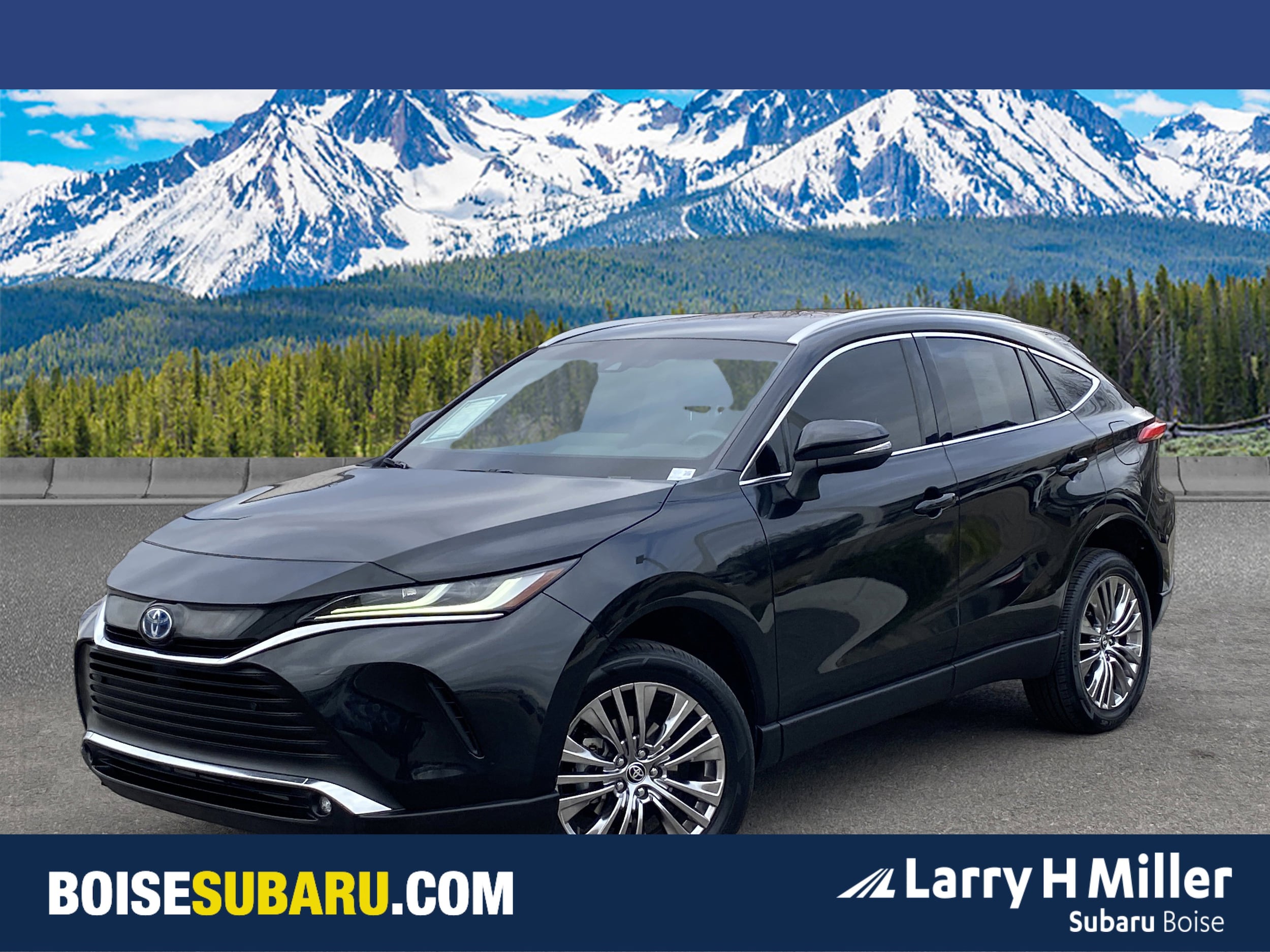 2024 Toyota Venza XLE's photo