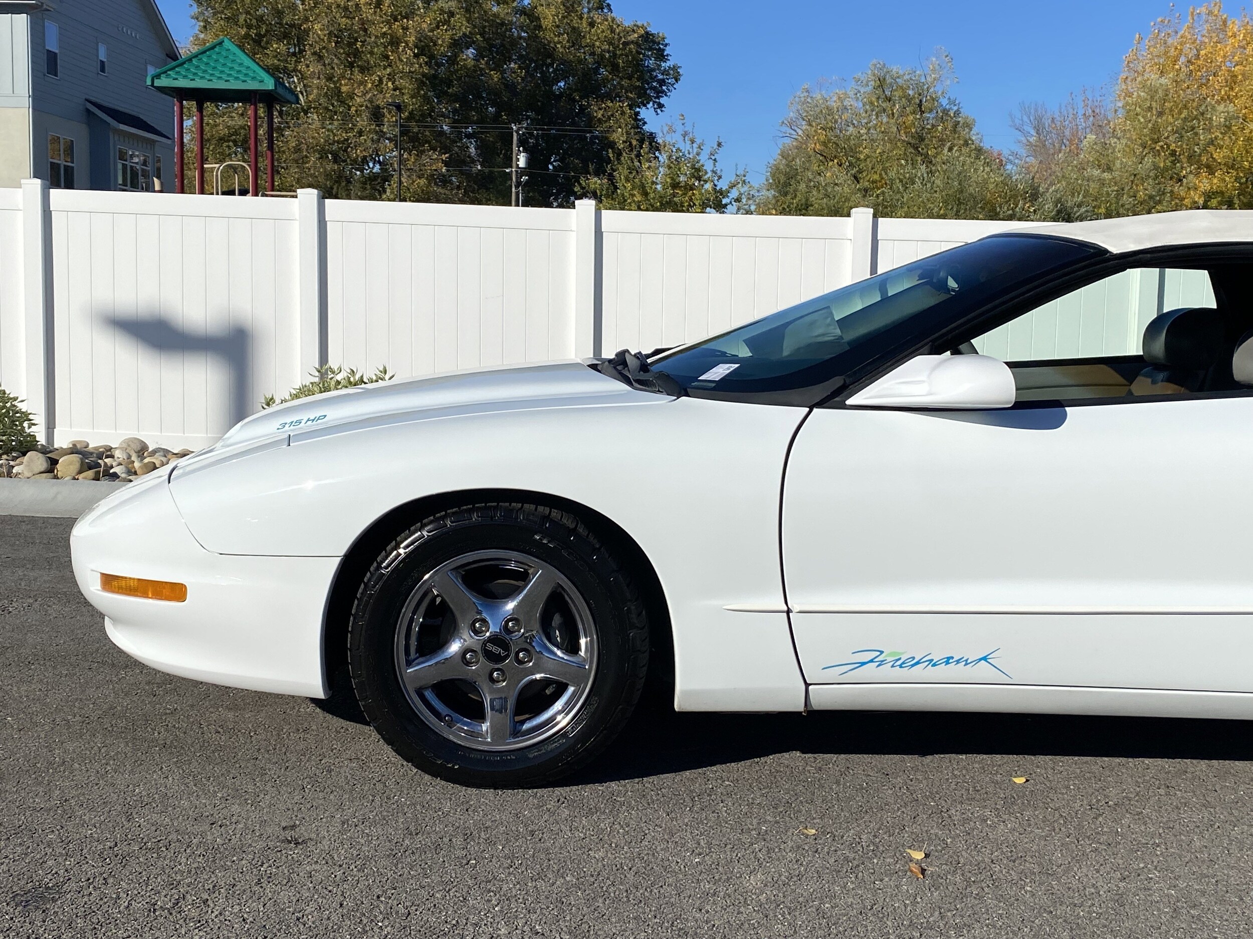 1995 Pontiac Firebird Formula Convertible photo 2