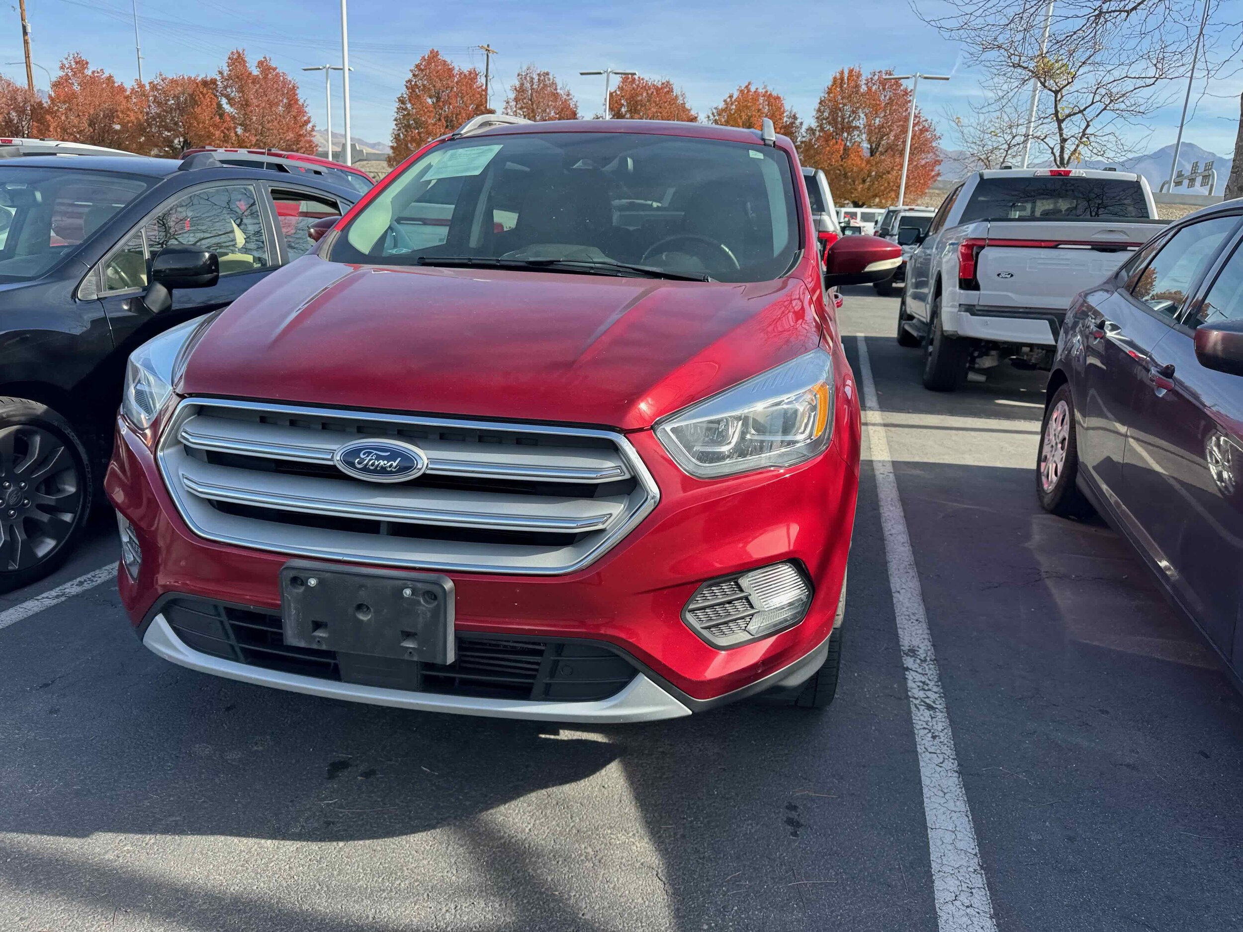 2019 Ford Escape Titanium photo 3