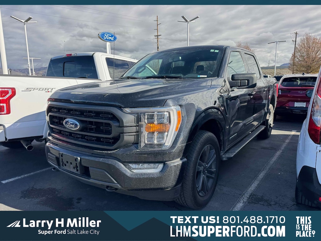 Used 2023 Ford F-150 XLT Crew Cab Truck