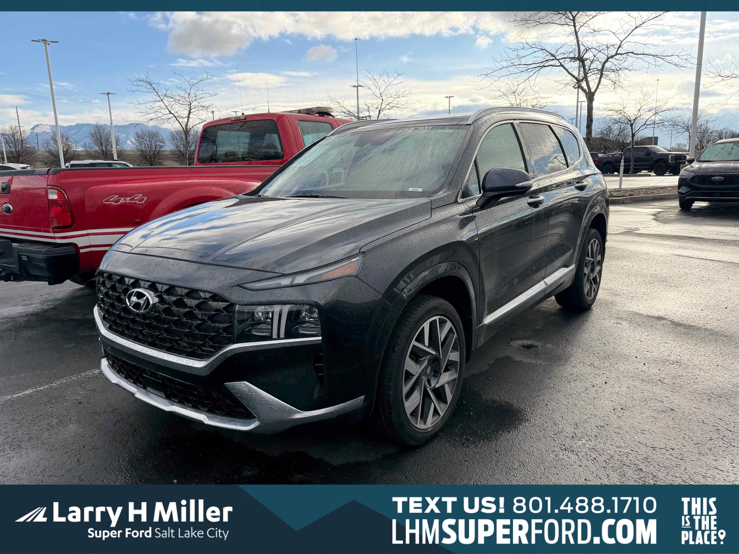 2022 Hyundai Santa Fe Calligraphy