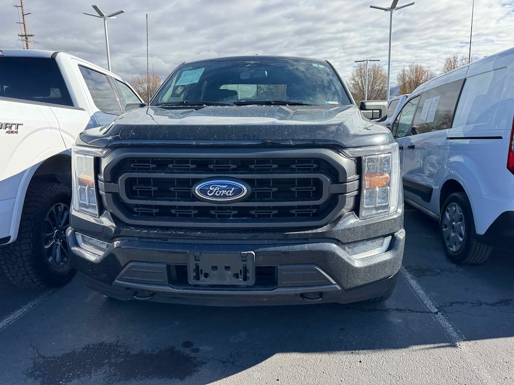 Used 2023 Ford F-150 XLT Crew Cab Truck