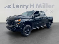 2025 Chevrolet Silverado 1500 Custom Trail Boss Truck Crew Cab