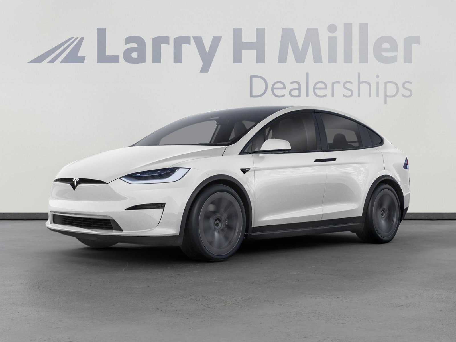 2021 Tesla Model X Performance's photo