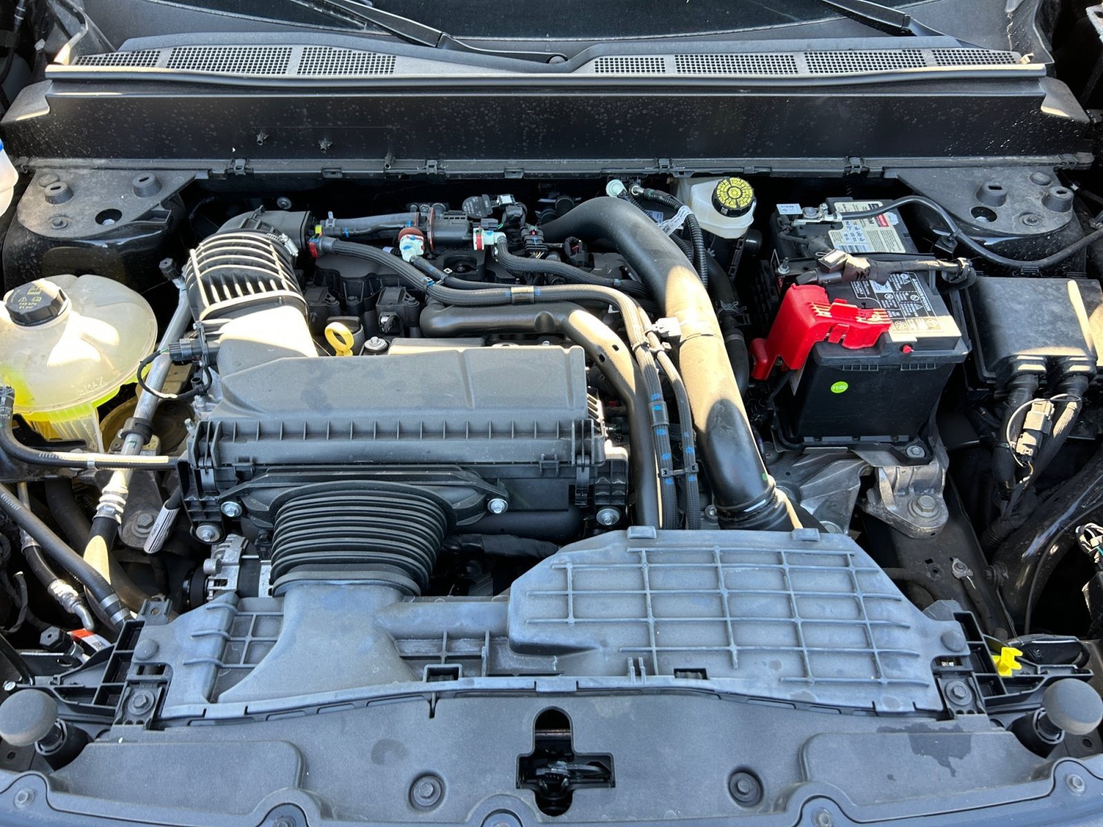 2025 Ford Maverick Lobo Standard - Photo 23