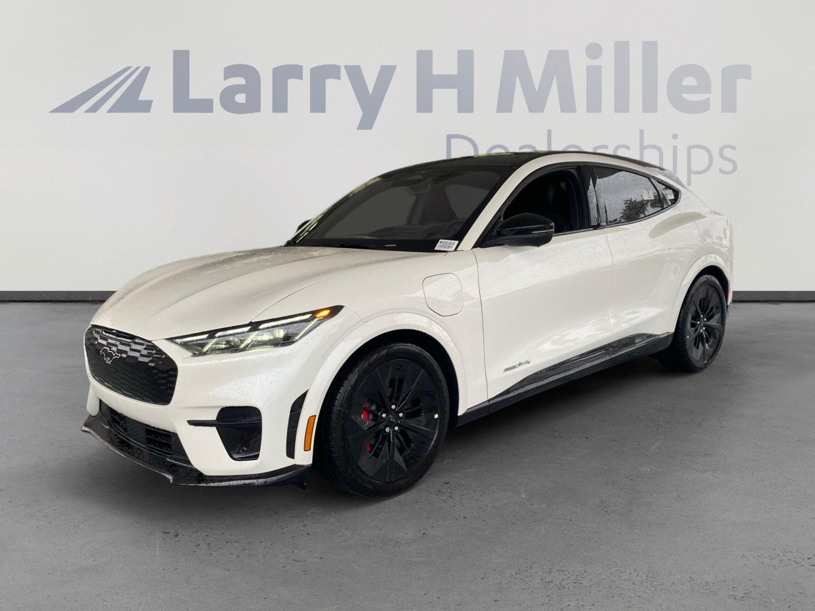 2025 Ford Mustang Mach-E GT AWD's photo