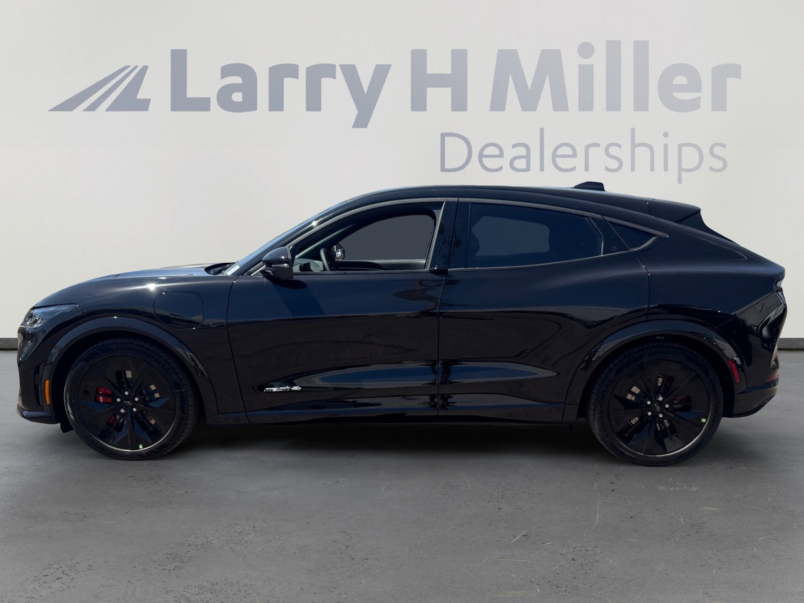 2025 Ford Mustang Mach-E GT photo 3