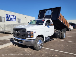 2019 Chevrolet Silverado MD 14 Lumber Dump Work Truck Truck Regular Cab