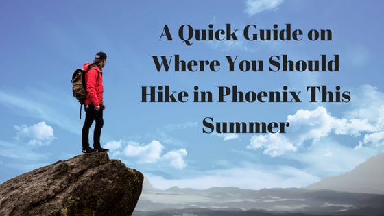 A Quick Guide on Where You Should Hike in Phoenix This Summer