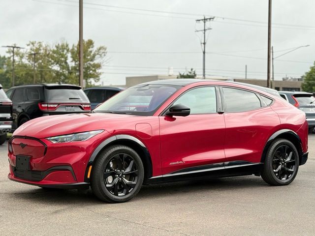 Photo 42