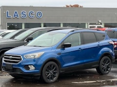 2017 Ford Escape SE SUV 1FMCU9G92HUD33911