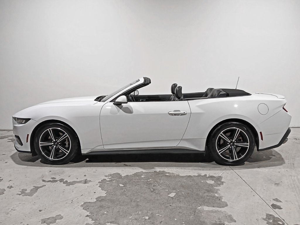 Used 2024 Ford Mustang Ecoboost Premium Convertible