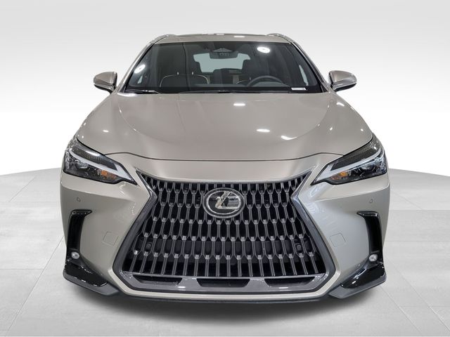 2023 Lexus NX 350h Premium photo 2