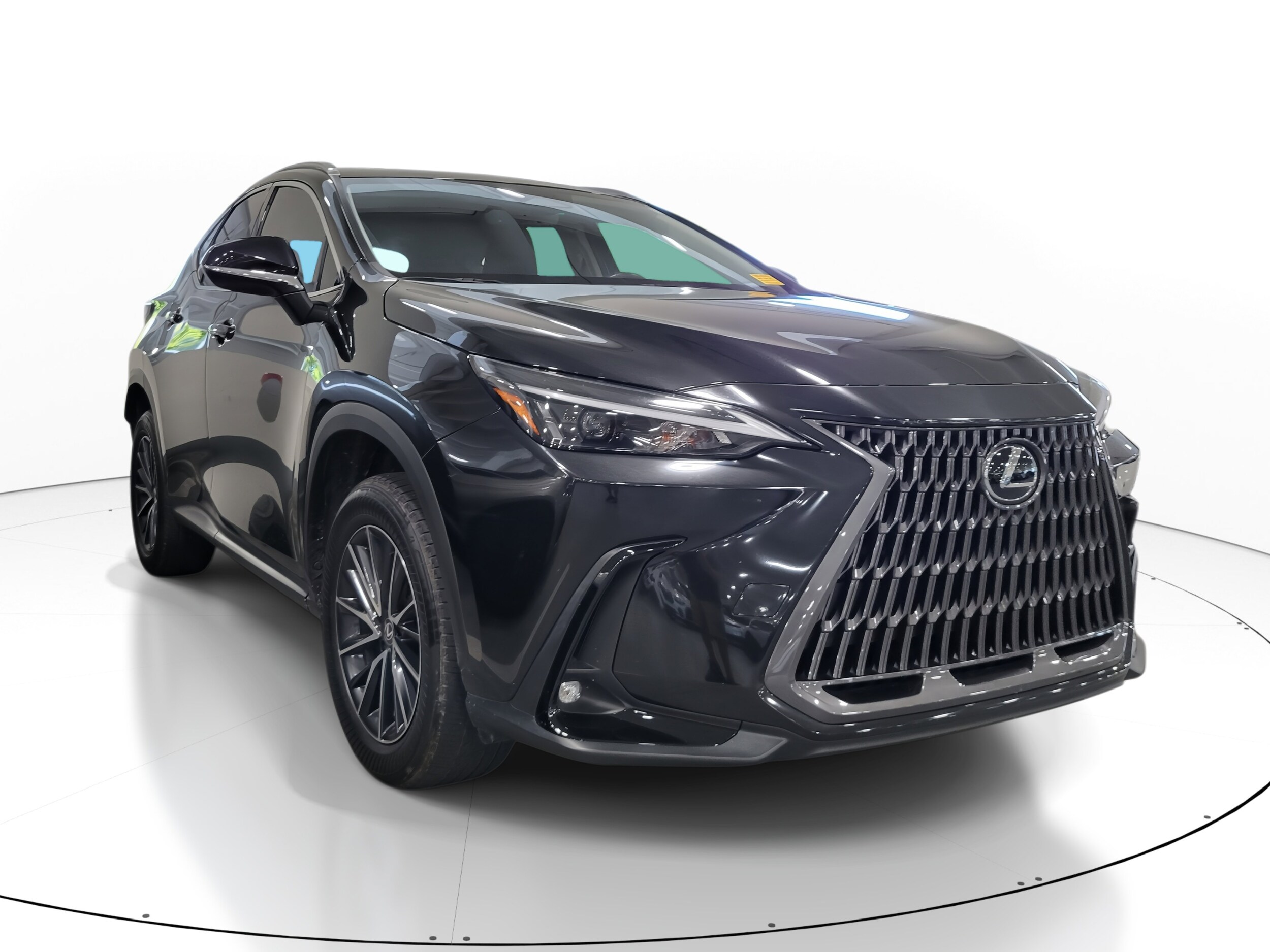 2024 Lexus NX 250 photo 2