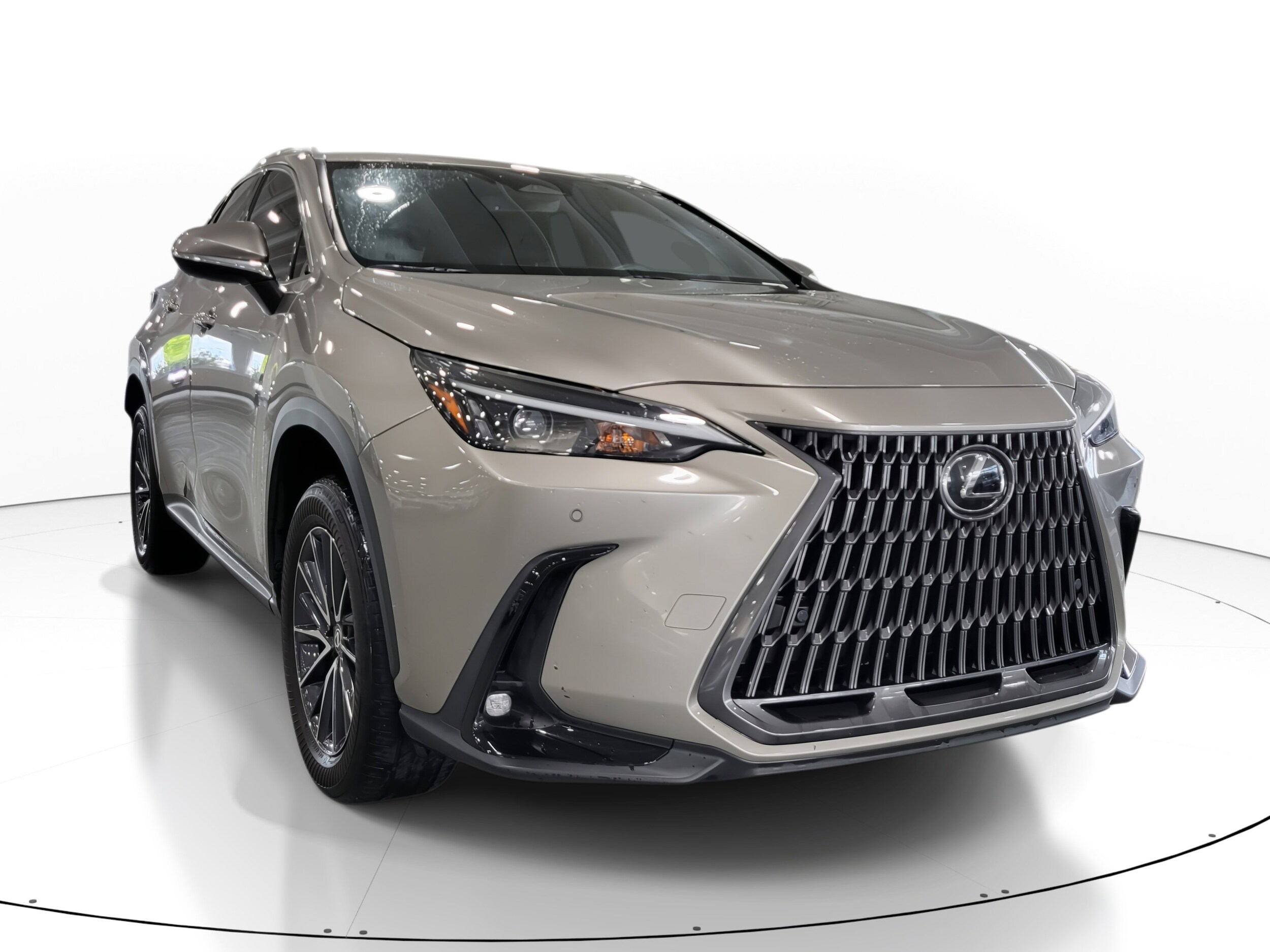 2024 Lexus NX 250 Premium photo 4