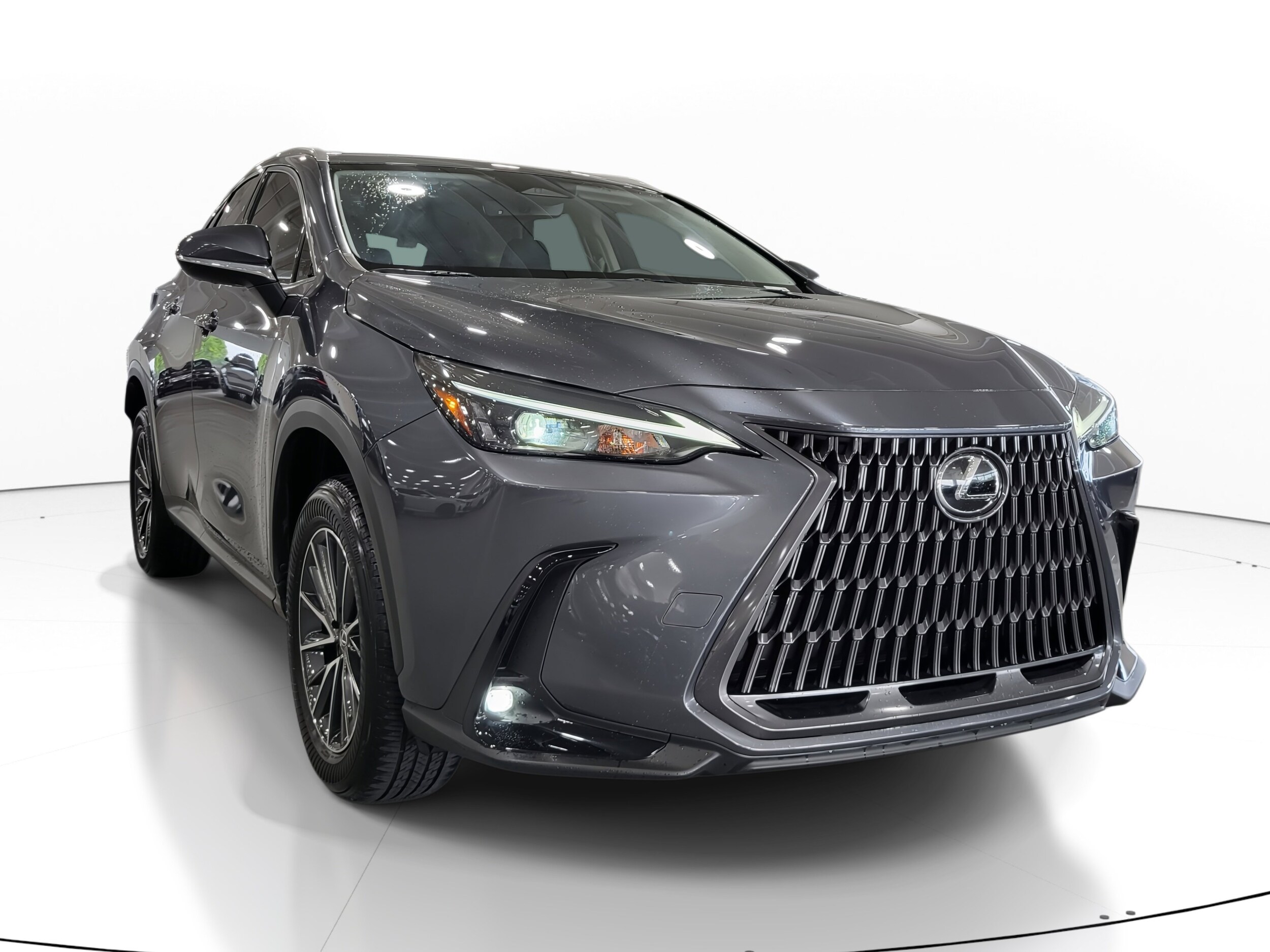 2024 Lexus NX 250 photo 4