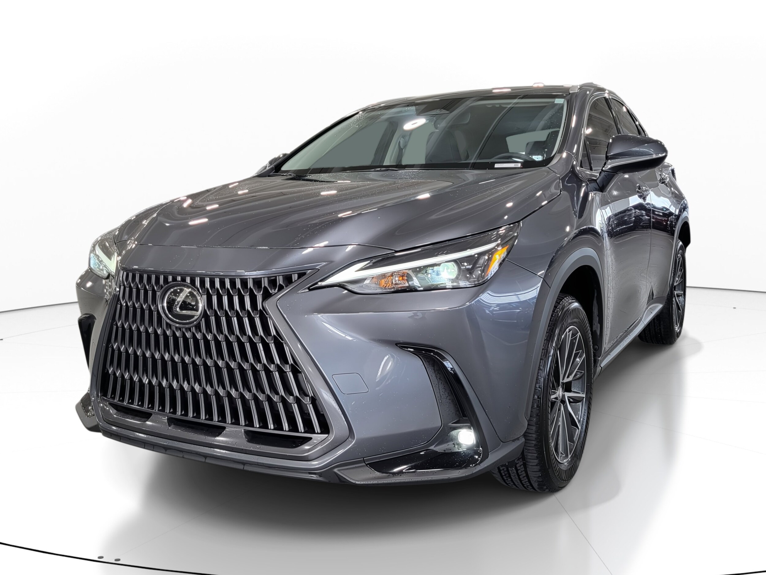 2024 Lexus NX 250 photo 2