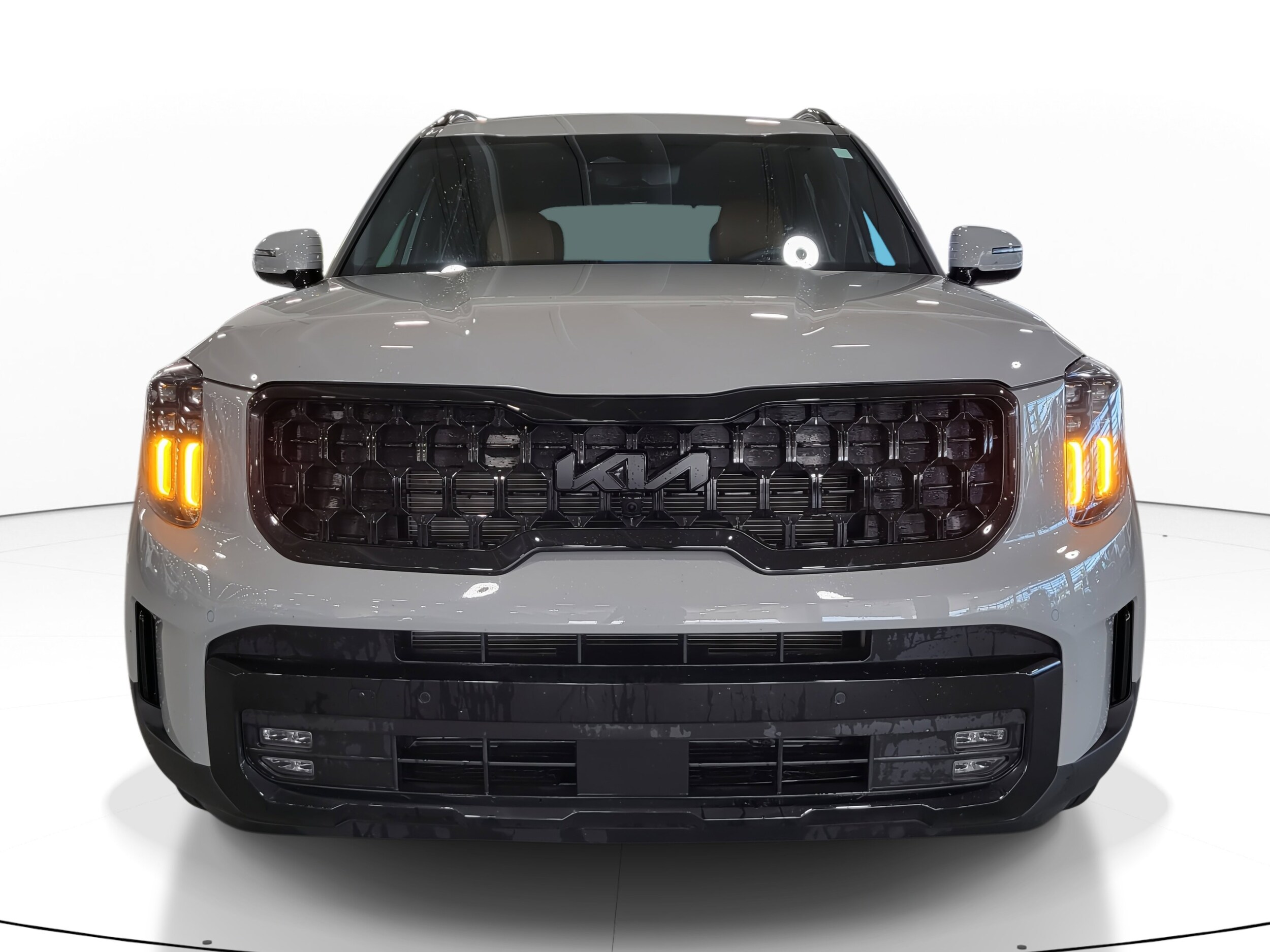 2025 Kia Telluride X-Line photo 3