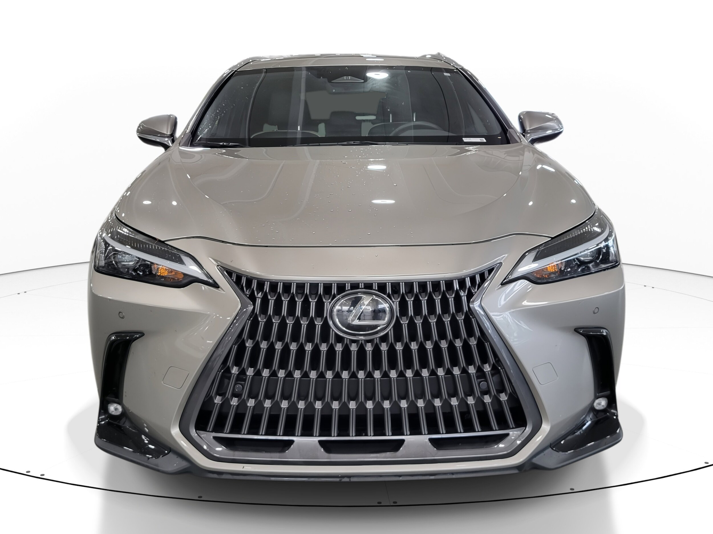 2024 Lexus NX 250 Premium photo 3