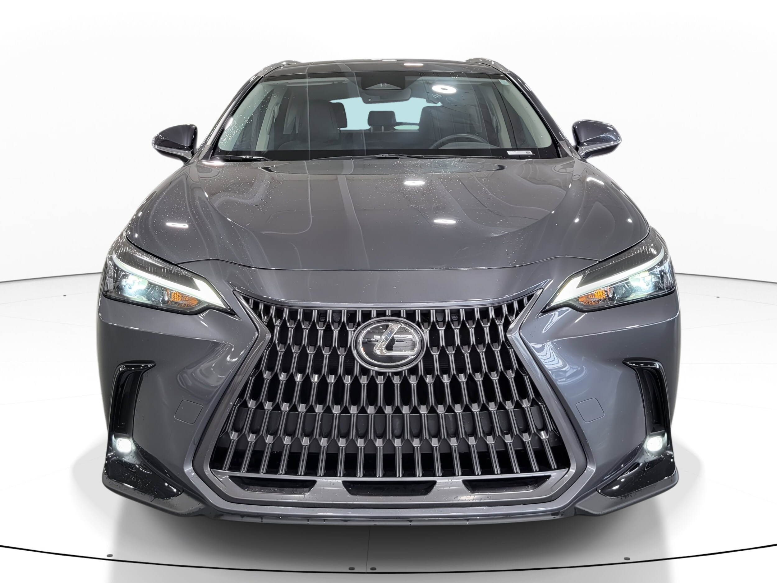 2024 Lexus NX 250 photo 3