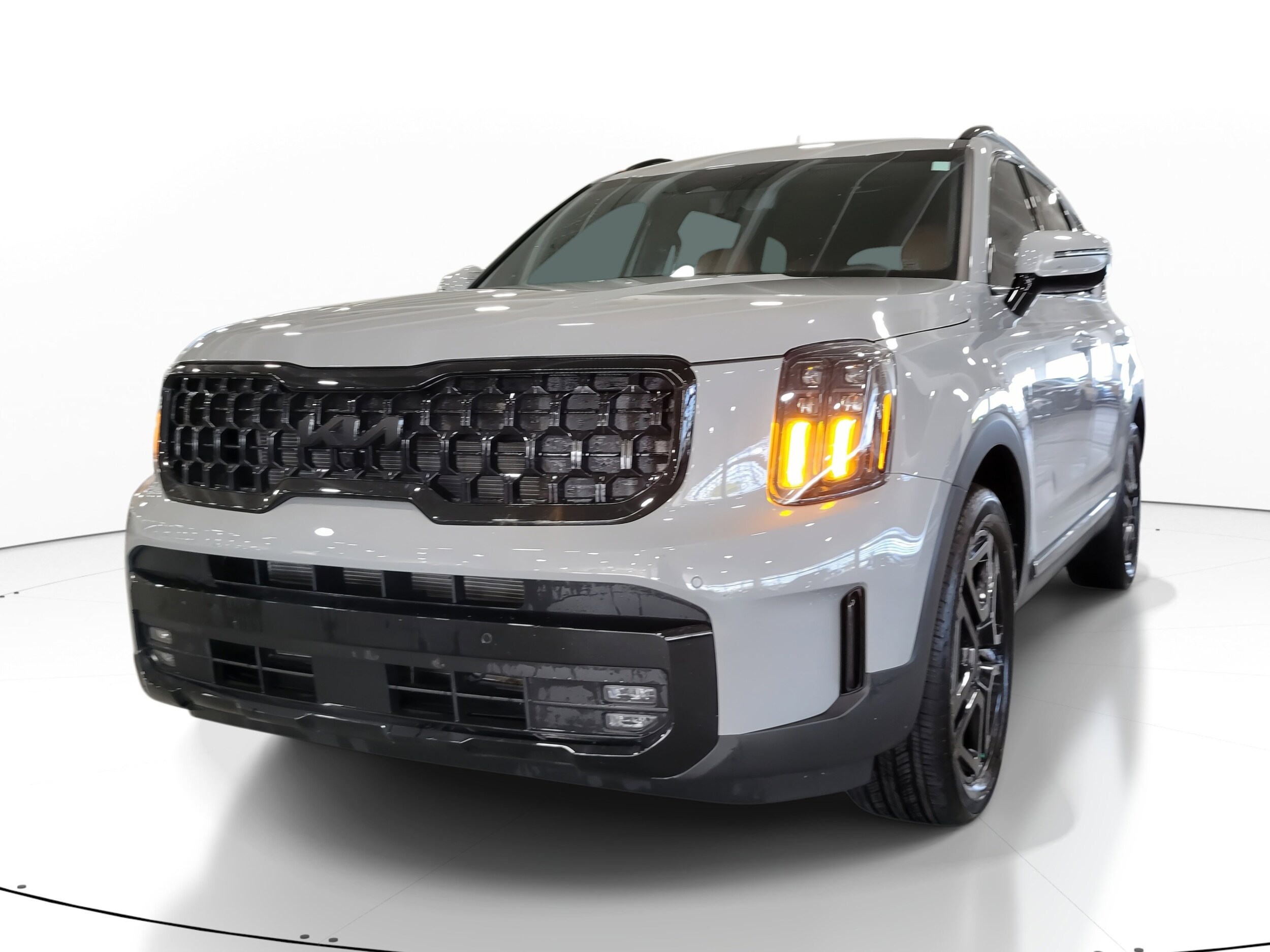 2025 Kia Telluride X-Line photo 2