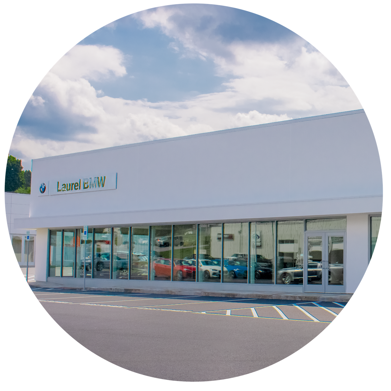 Laurel BMW