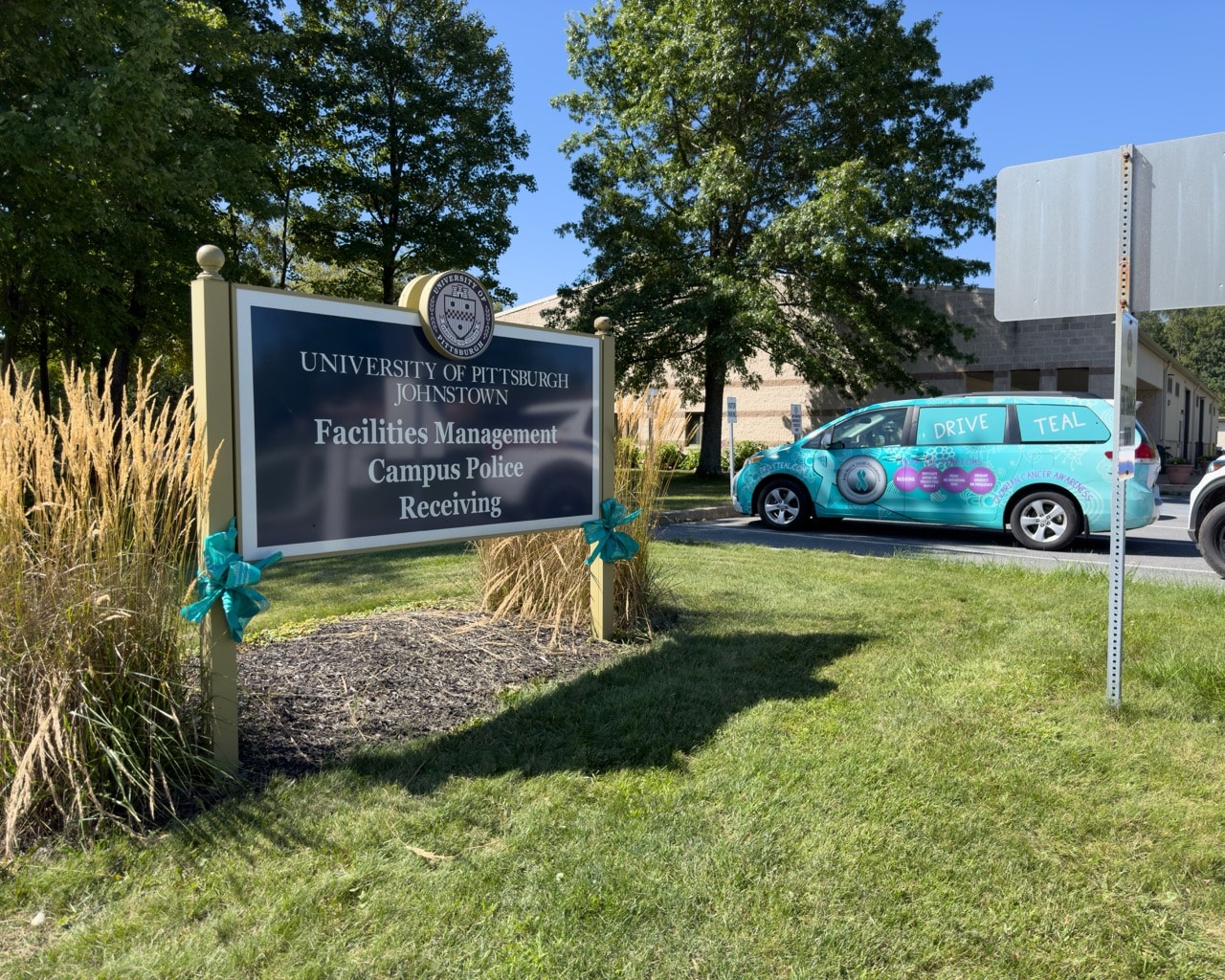 Ovarian cancer awareness