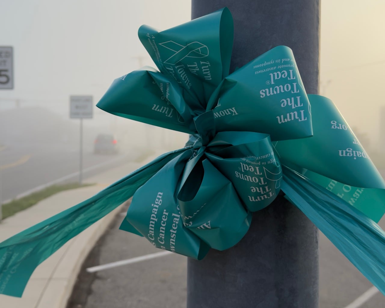 Ovarian cancer awareness