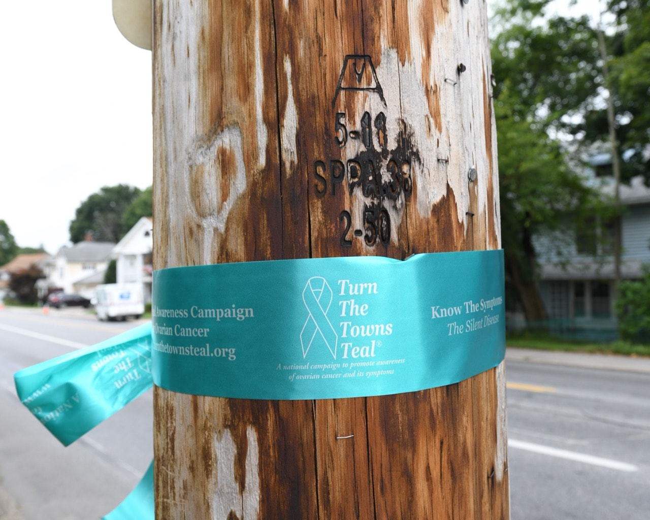 Ovarian cancer awareness