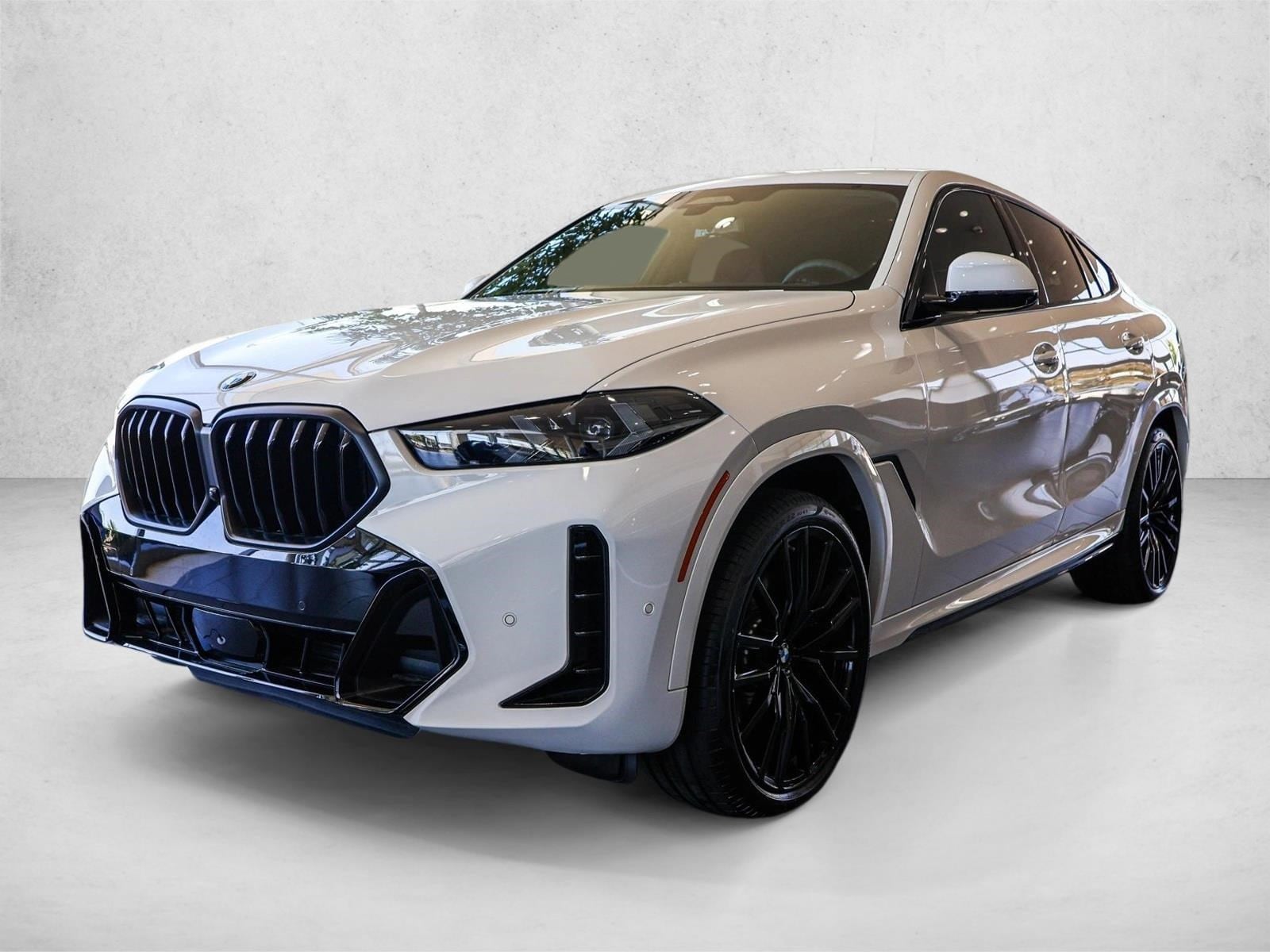 2026 BMW X6 xDrive40i's photo